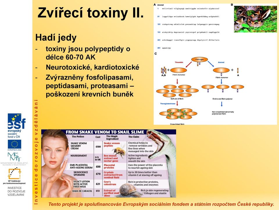 60-70 AK - Neurotoxické, kardiotoxické -