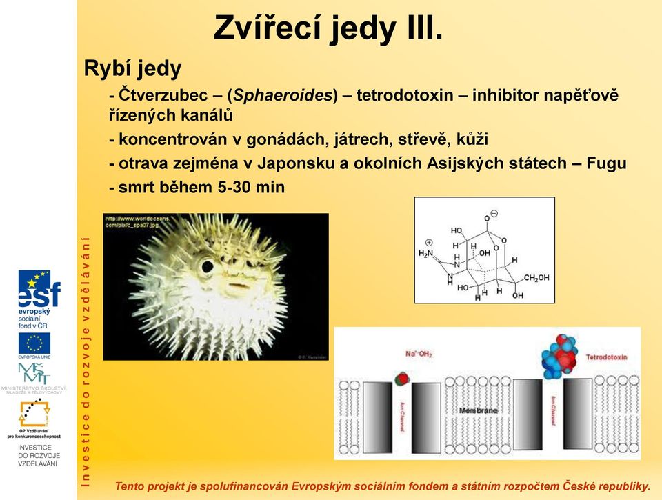 řízených kanálů - koncentrován v gonádách, játrech,