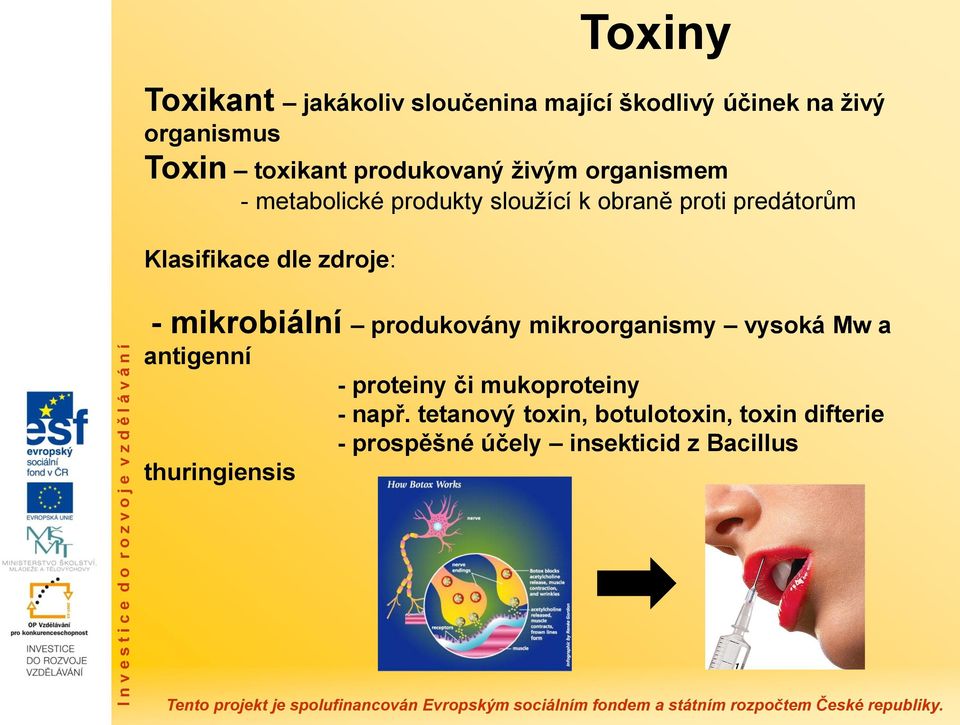 dle zdroje: - mikrobiální produkovány mikroorganismy vysoká Mw a antigenní - proteiny či