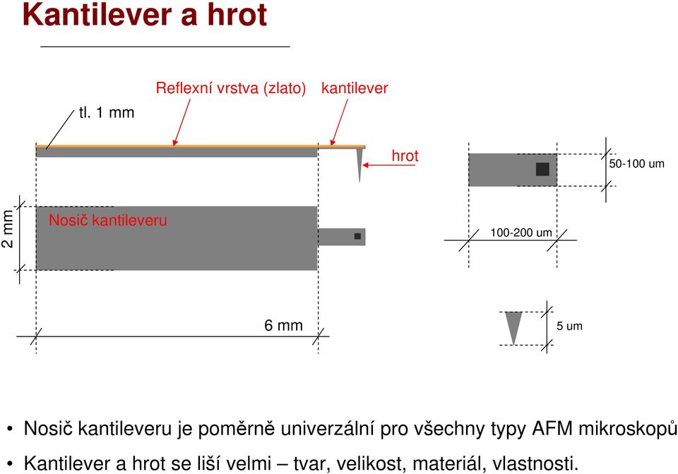 kantileveru 100-200 um 6 mm 5 um Nosič kantileveru je poměrně