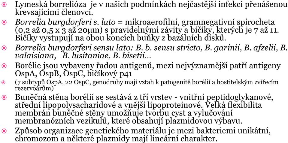 Borrelia burgdorferi sensu lato: B. b. sensu stricto, B. garinii, B. afzelii, B. valaisiana, B. lusitaniae, B.