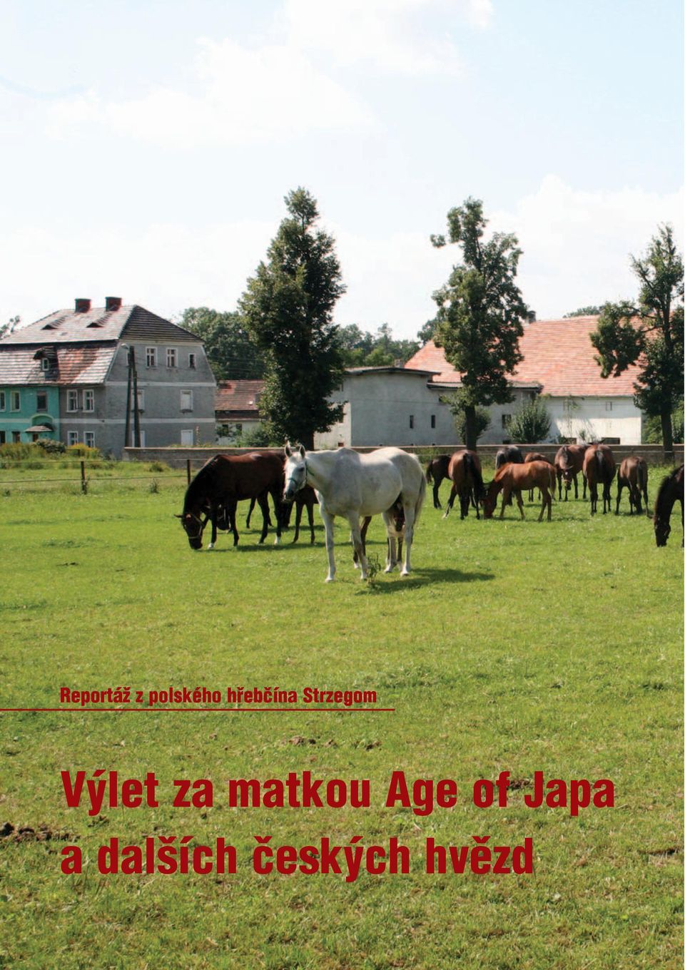 Výlet za matkou Age of