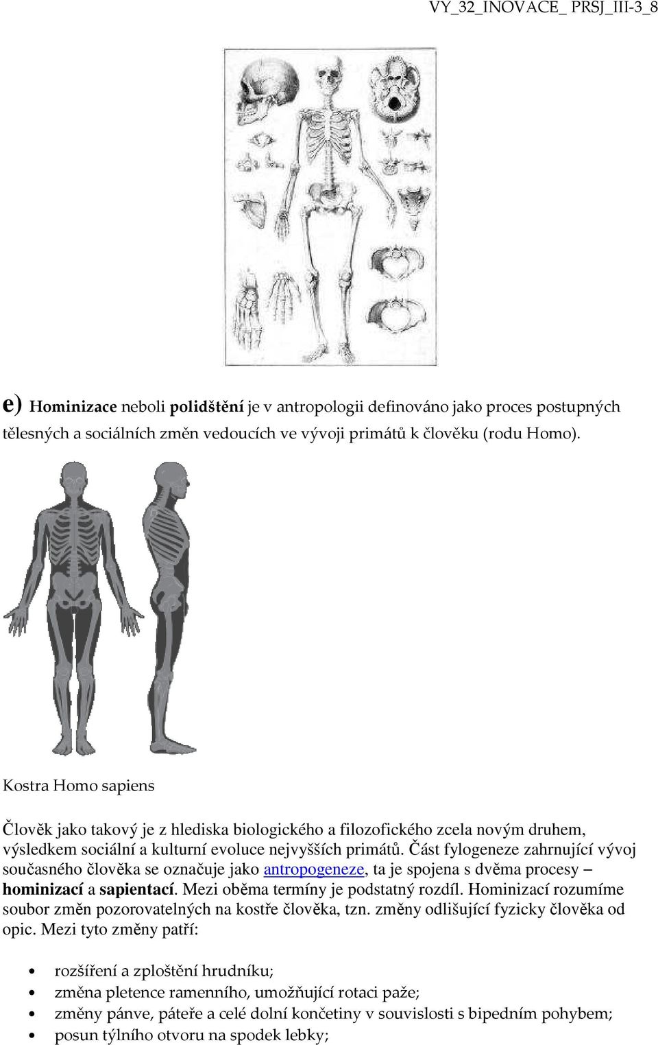 Část fylogeneze zahrnující vývoj současného člověka se označuje jako antropogeneze, ta je spojena s dvěma procesy hominizací a sapientací. Mezi oběma termíny je podstatný rozdíl.