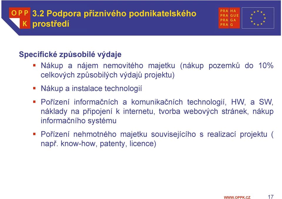 a komunikačních technologií, HW, a SW, náklady na připojení k internetu, tvorba webových stránek, nákup