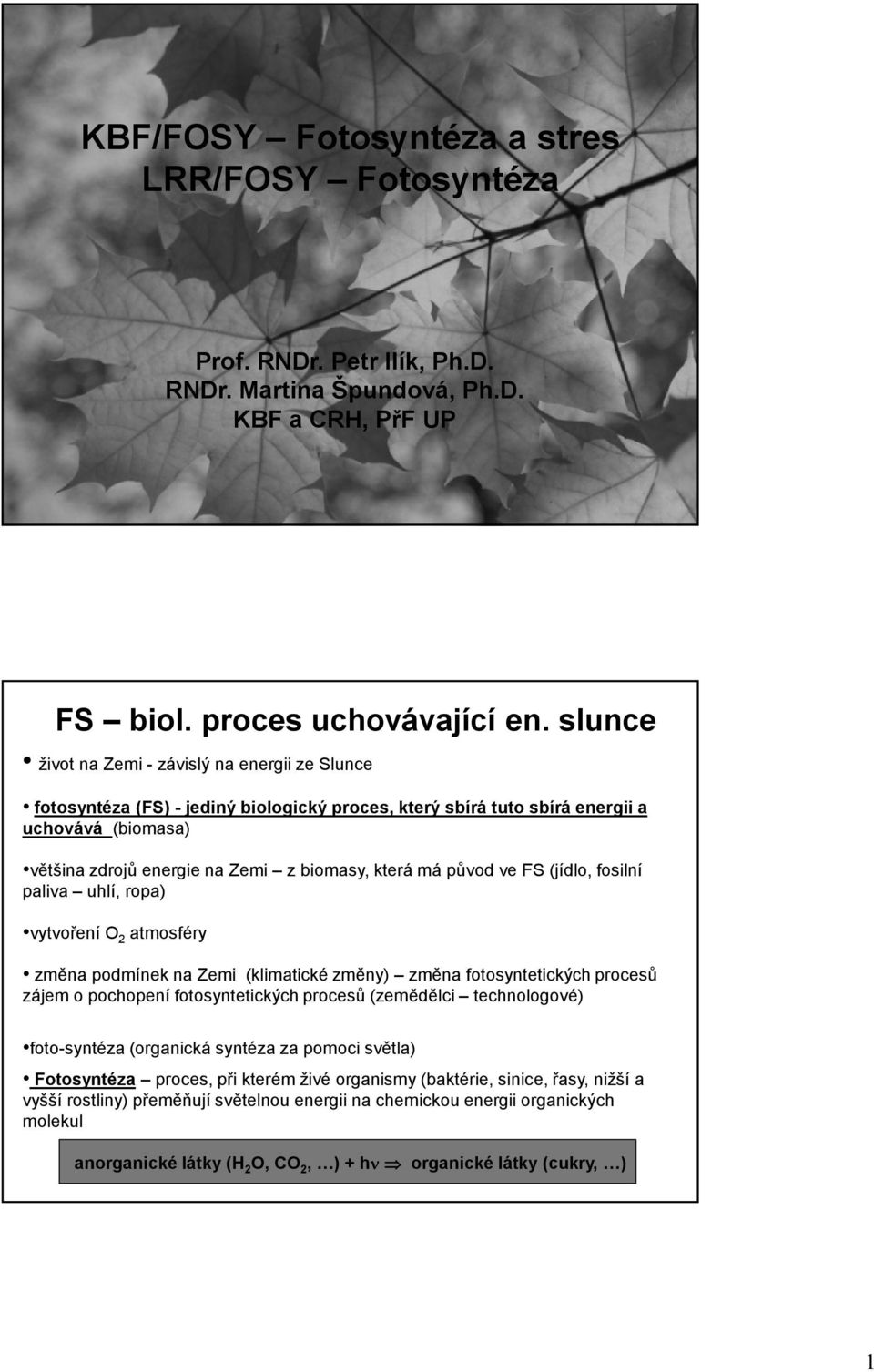 původ ve FS (jídlo, fosilní paliva uhlí, ropa) vytvoření O 2 atmosféry změna podmínek na Zemi (klimatické změny) změna fotosyntetických procesů zájem o pochopení fotosyntetických procesů (zemědělci