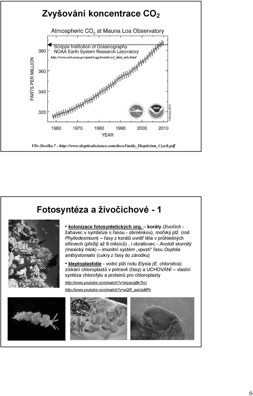 korály (živočich žahavec v symbióze s řasou - obrněnkou), mořský plž (rod Phyllodesmium) řasy z korálů uvnitř těla v průhledných střevech (přežijí až 9 měsíců), i obratlovec - Axolotl