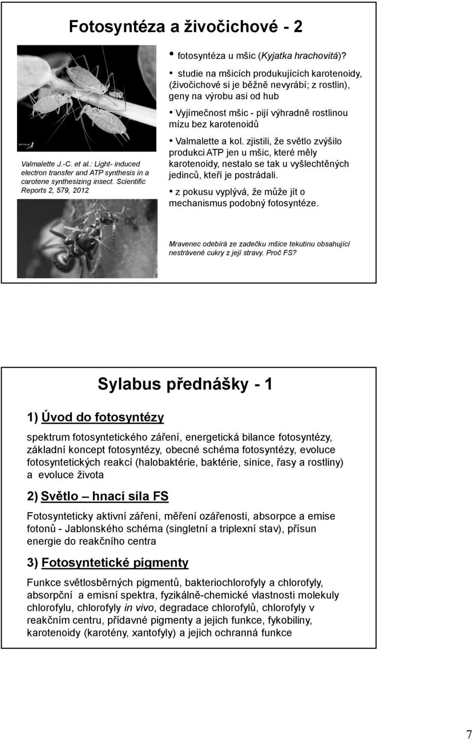 et al.: Light- induced electron transfer and ATP synthesis in a carotene synthesizing insect. Scientific Reports 2, 579, 2012 Valmalette a kol.