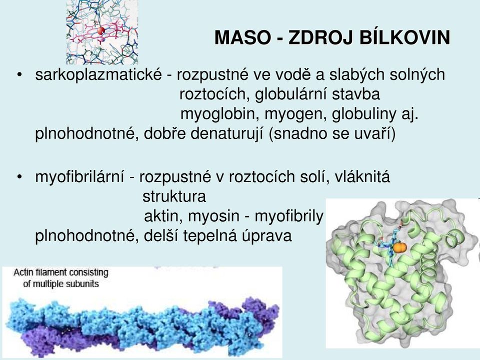 plnohodnotné, dobře denaturují (snadno se uvaří) myofibrilární - rozpustné v