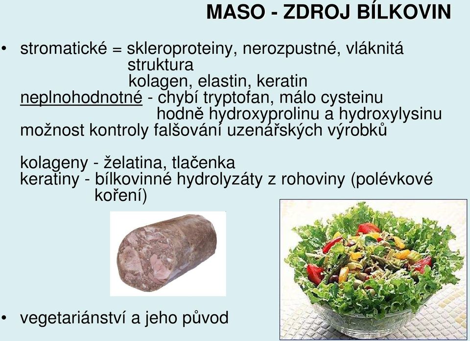 hydroxyprolinu a hydroxylysinu možnost kontroly falšování uzenářských výrobků kolageny -