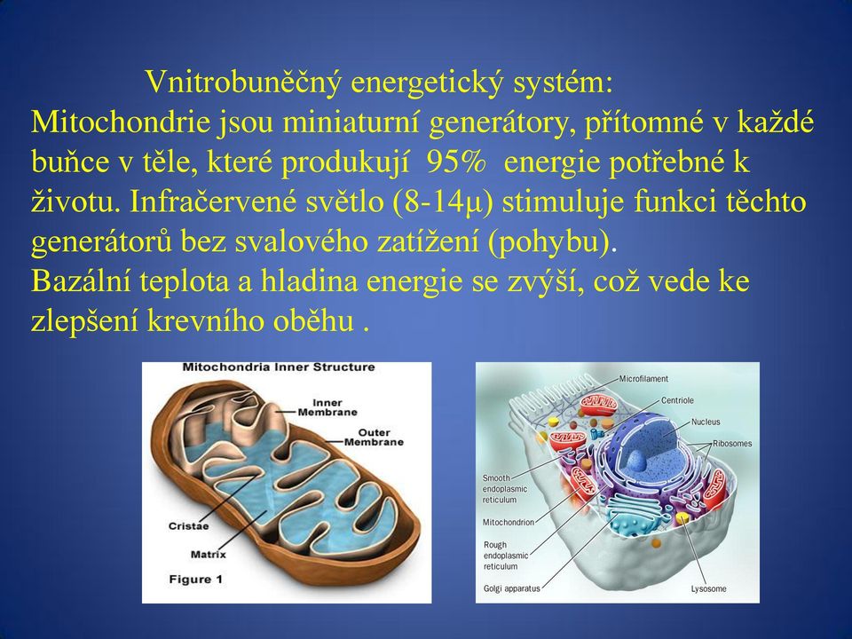 Infračervené světlo (8-14μ) stimuluje funkci těchto generátorů bez svalového