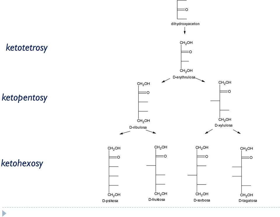 D-ribulosa 2 D-xylulosa 2 2 2 2