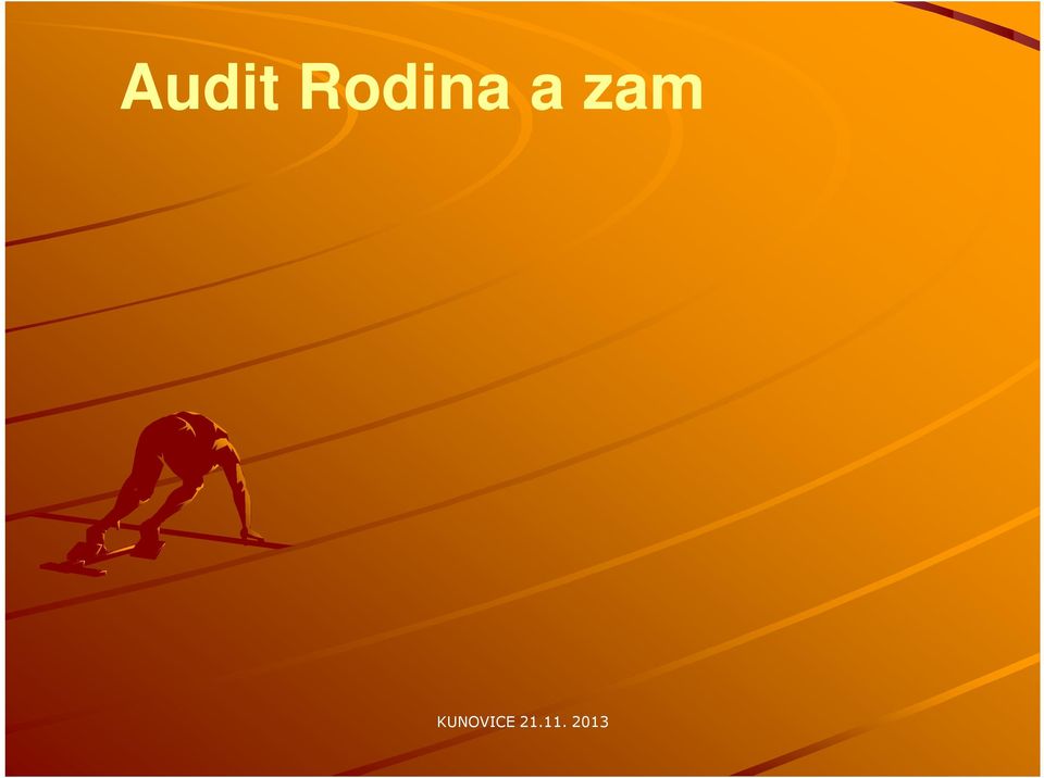 2011 Auditním řízením prošlo 15 firem, např.