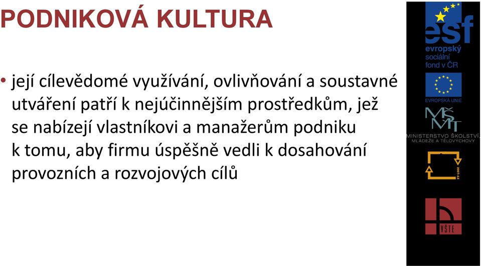 se nabízejí vlastníkovi a manažerům podniku k tomu, aby