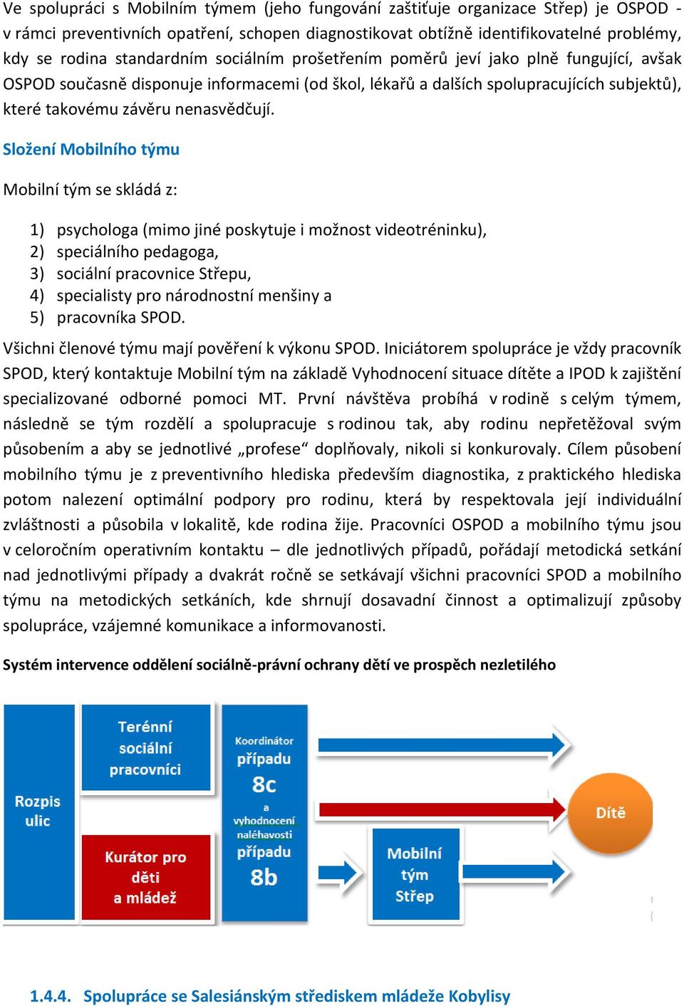 Složení Mobilního týmu Mobilní tým se skládá z: 1) psychologa (mimo jiné poskytuje i možnost videotréninku), 2) speciálního pedagoga, 3) sociální pracovnice Střepu, 4) specialisty pro národnostní