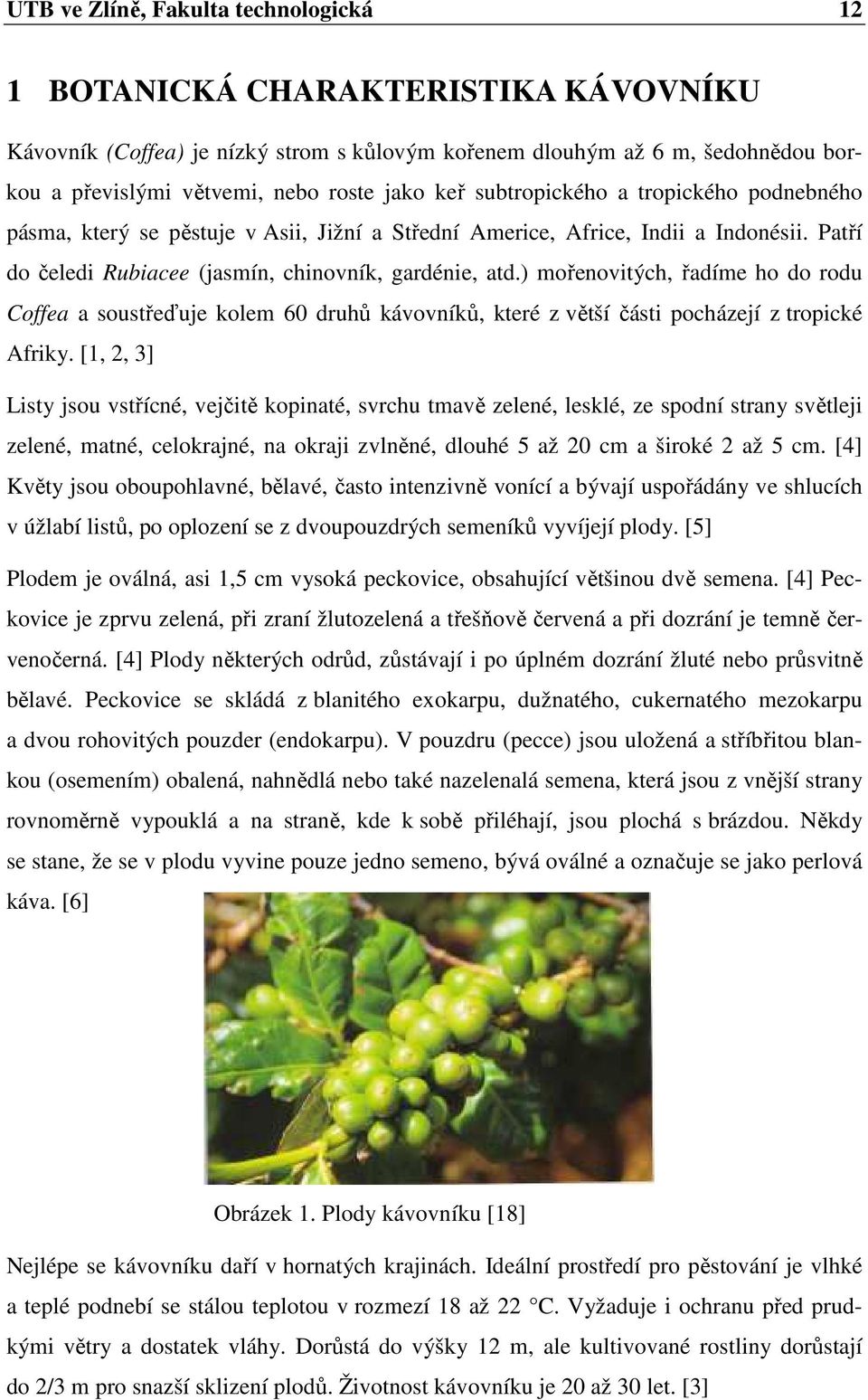 ) mořenovitých, řadíme ho do rodu Coffea a soustřeďuje kolem 60 druhů kávovníků, které z větší části pocházejí z tropické Afriky.