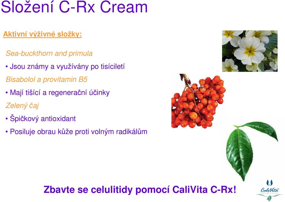 tišící a regenerační účinky Zelený čaj Špičkový antioxidant Posiluje