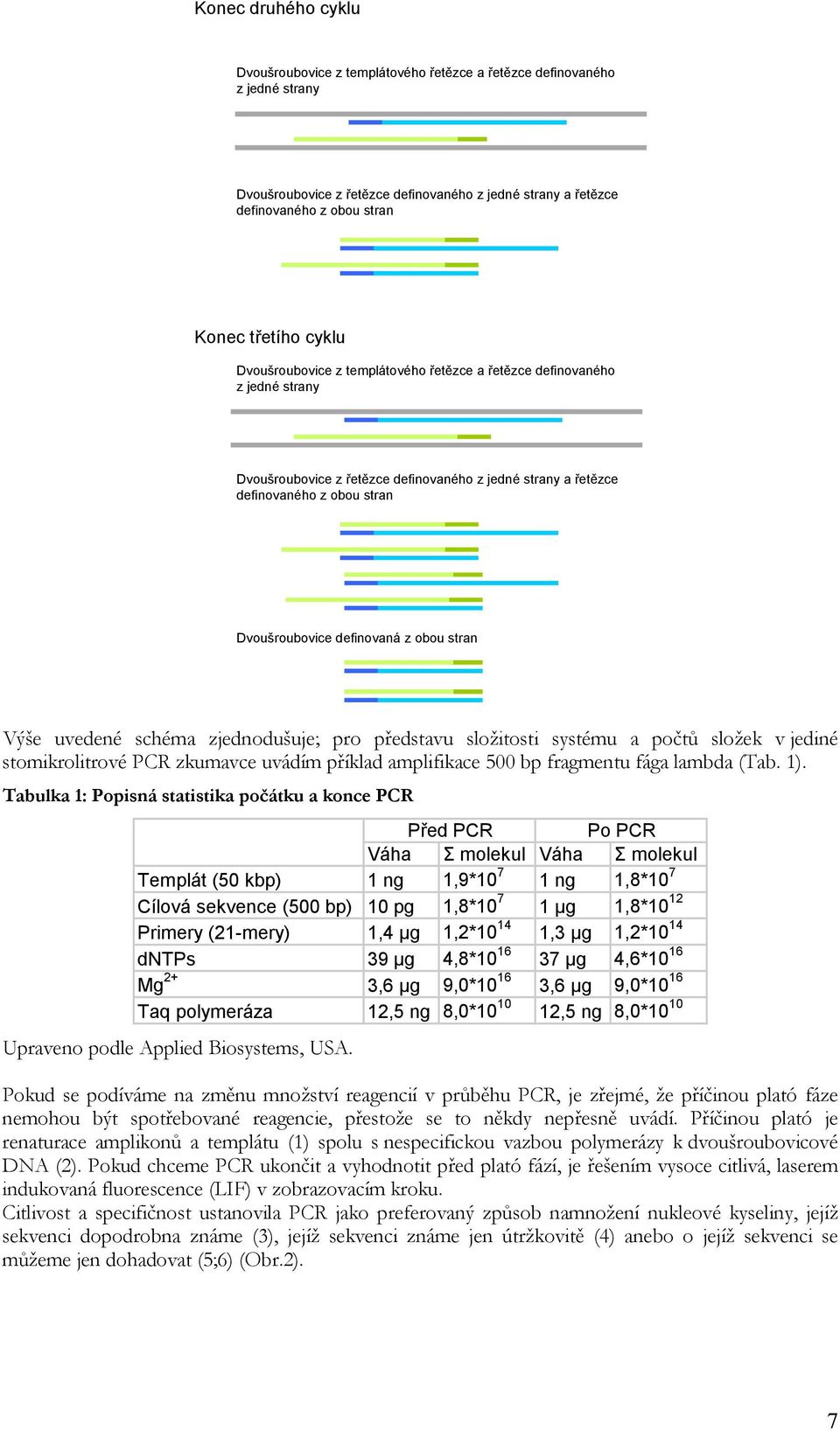 obou stran Výše uvedené schéma zjednodušuje; pro představu složitosti systému a počtů složek v jediné stomikrolitrové PCR zkumavce uvádím příklad amplifikace 500 bp fragmentu fága lambda (Tab. 1).