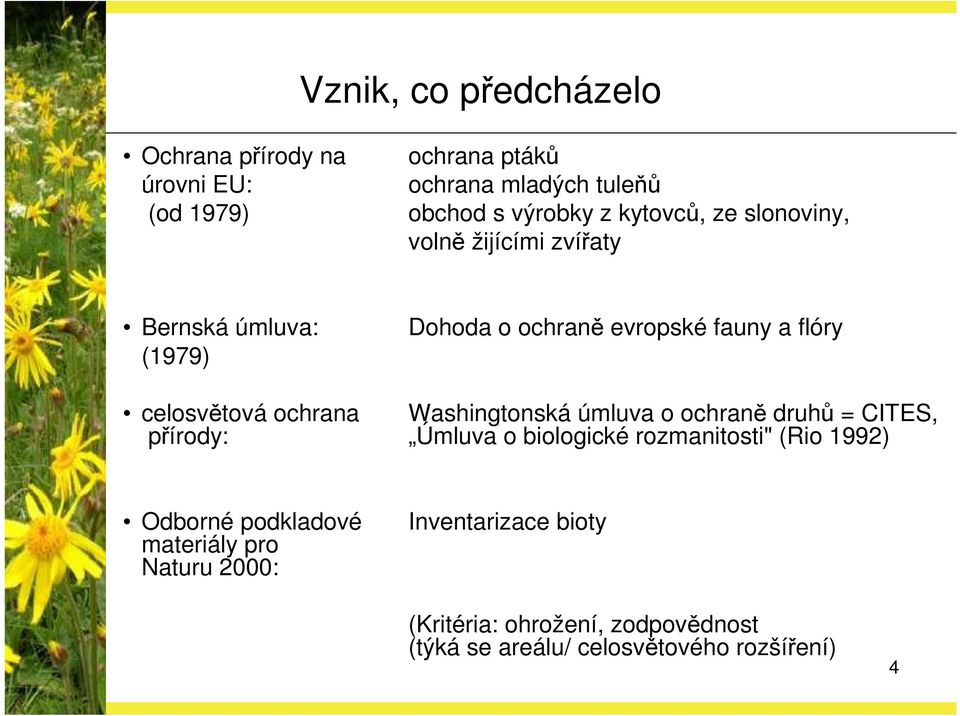 ochrana Washingtonská úmluva o ochraně druhů = CITES, přírody: Úmluva o biologické rozmanitosti" (Rio 1992) Odborné