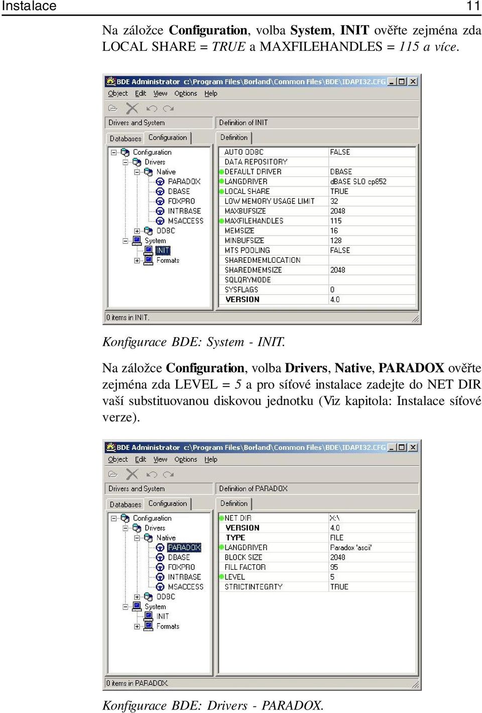 Na záložce Configuration, volba Drivers, Native, PARADOX ověřte zejména zda LEVEL = 5 a pro síťové