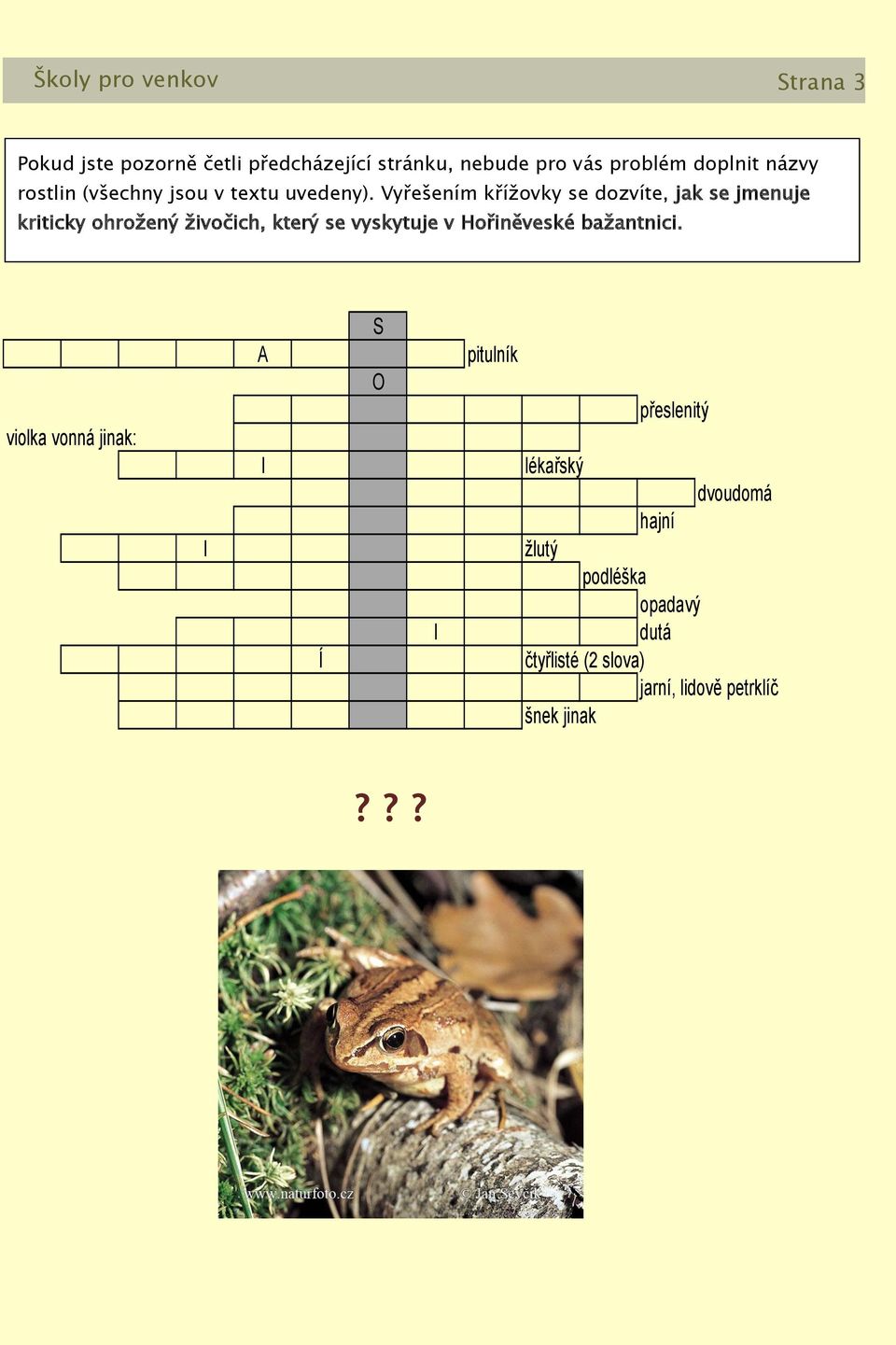 Vyřešením kříţovky se dozvíte, jak se jmenuje kriticky ohroţený ţivočich, který se vyskytuje v Hořiněveské