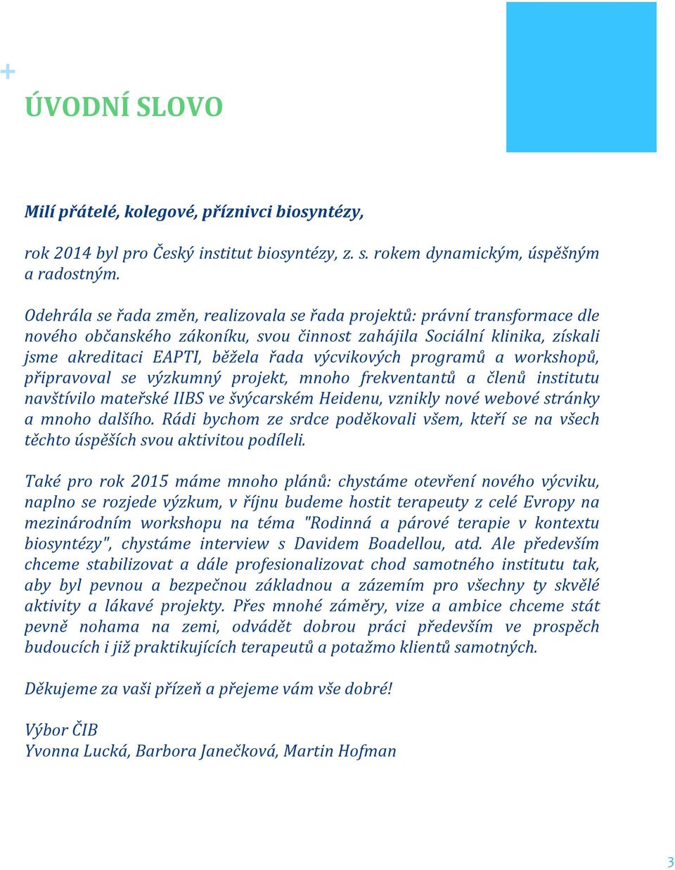 programů a workshopů, připravoval se výzkumný projekt, mnoho frekventantů a členů institutu navštívilo mateřské IIBS ve švýcarském Heidenu, vznikly nové webové stránky a mnoho dalšího.