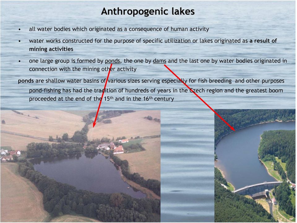 originated in connection with the mining other activity ponds are shallow water basins of various sizes serving especially for fish breeding and other