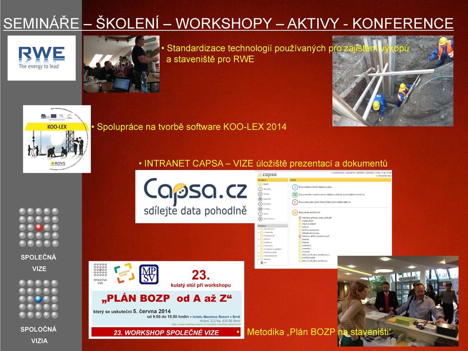 RWE Spolupráce na tvorbě software KOO-LEX 2014 INTRANET CAPSA