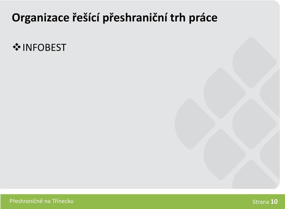 práce INFOBEST