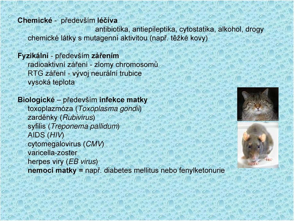 teplota Biologické především infekce matky toxoplazmóza (Toxoplasma gondii) zarděnky (Rubivirus) syfilis (Treponema pallidum)