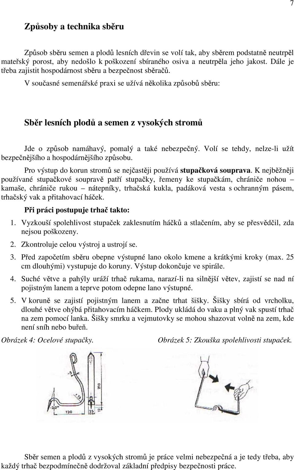 V současné semenářské praxi se užívá několika způsobů sběru: Sběr lesních plodů a semen z vysokých stromů Jde o způsob namáhavý, pomalý a také nebezpečný.