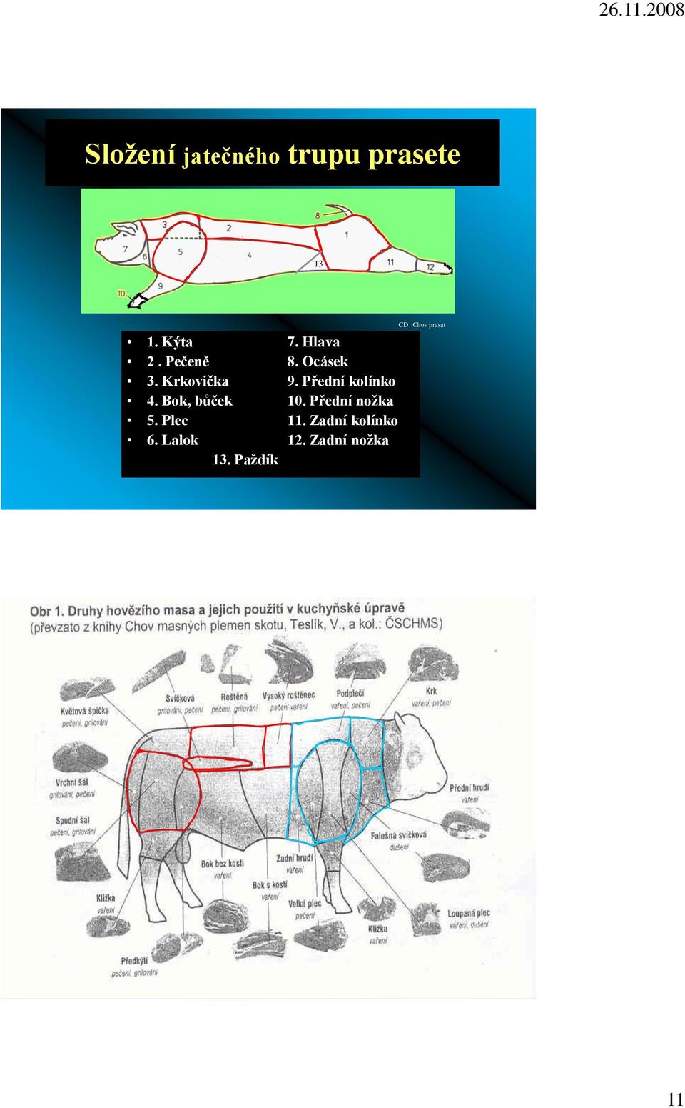 Přední kolínko 4. Bok, bůček 10. Přední noţka 5.