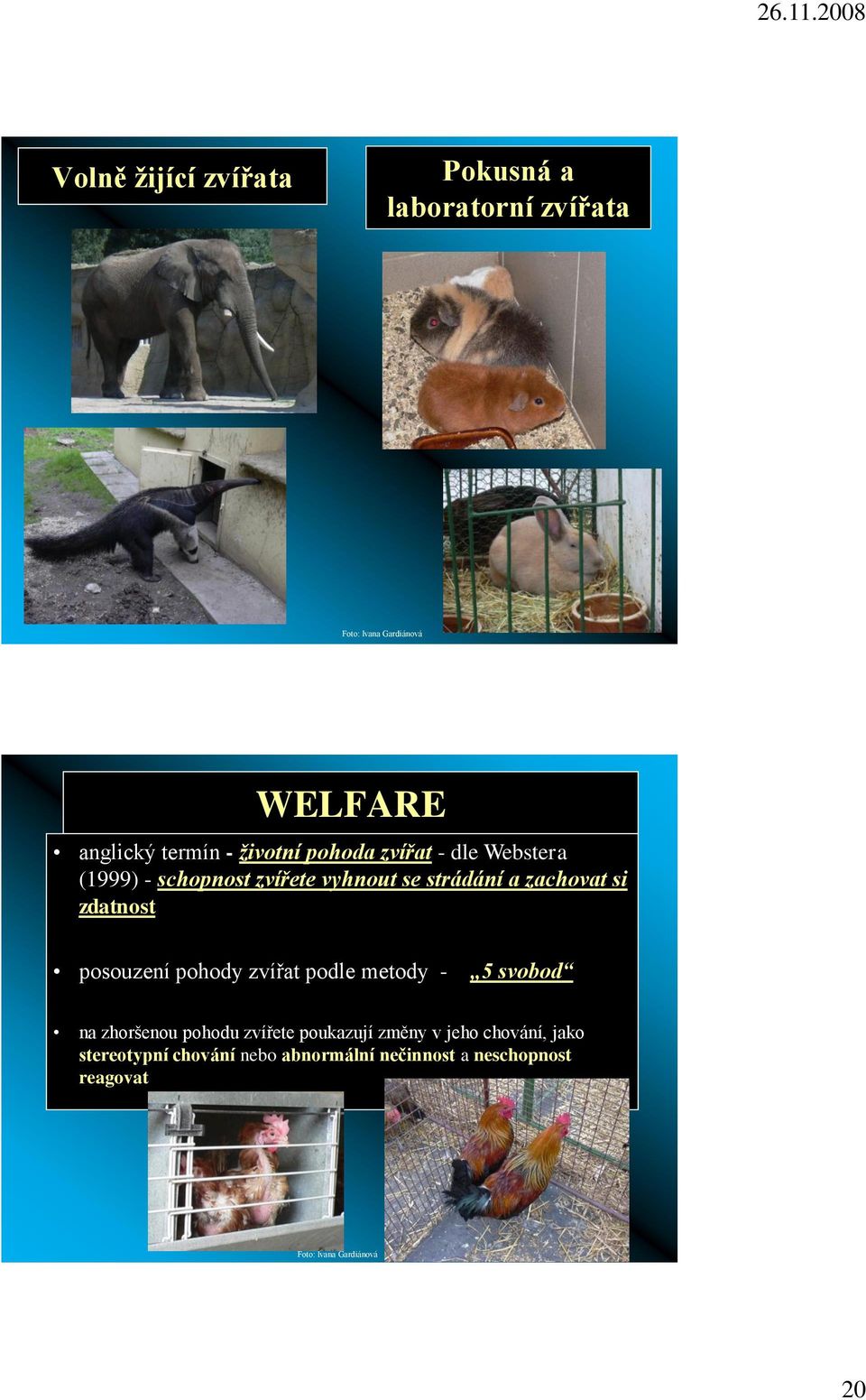 zdatnost posouzení pohody zvířat podle metody - 5 svobod na zhoršenou pohodu zvířete poukazují změny v