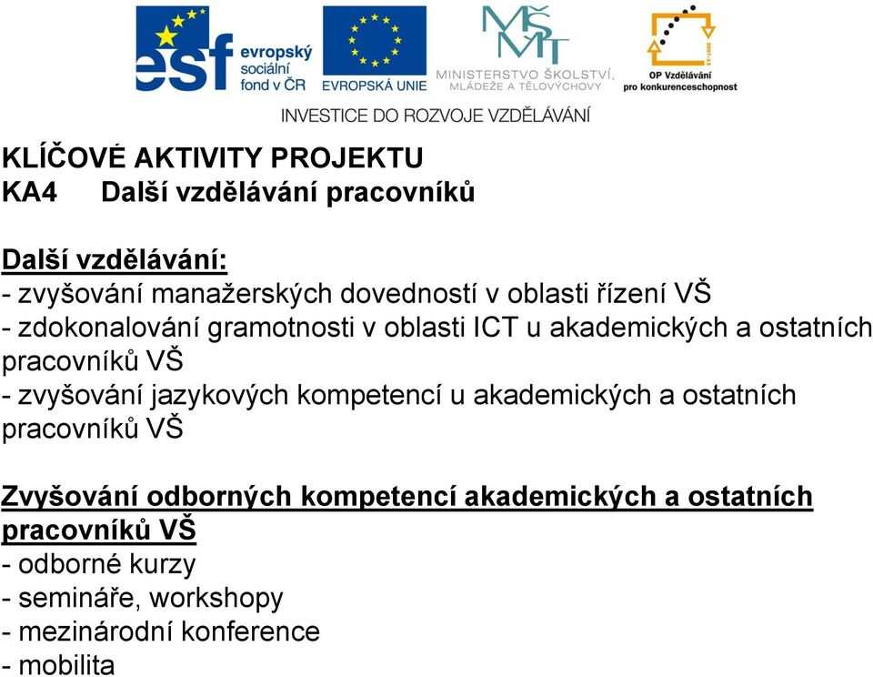 pracovníků VŠ - zvyšování jazykových kompetencí u akademických a ostatních pracovníků VŠ Zvyšování odborných