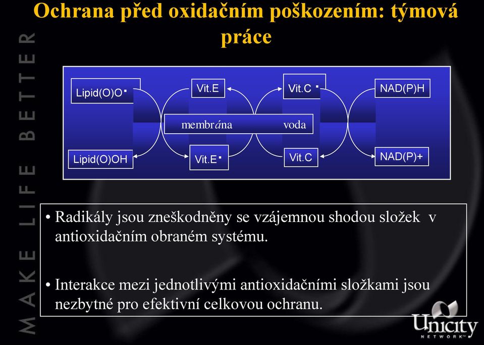 C NAD(P)+ Radikály jsou zneškodněny se vzájemnou shodou složek v