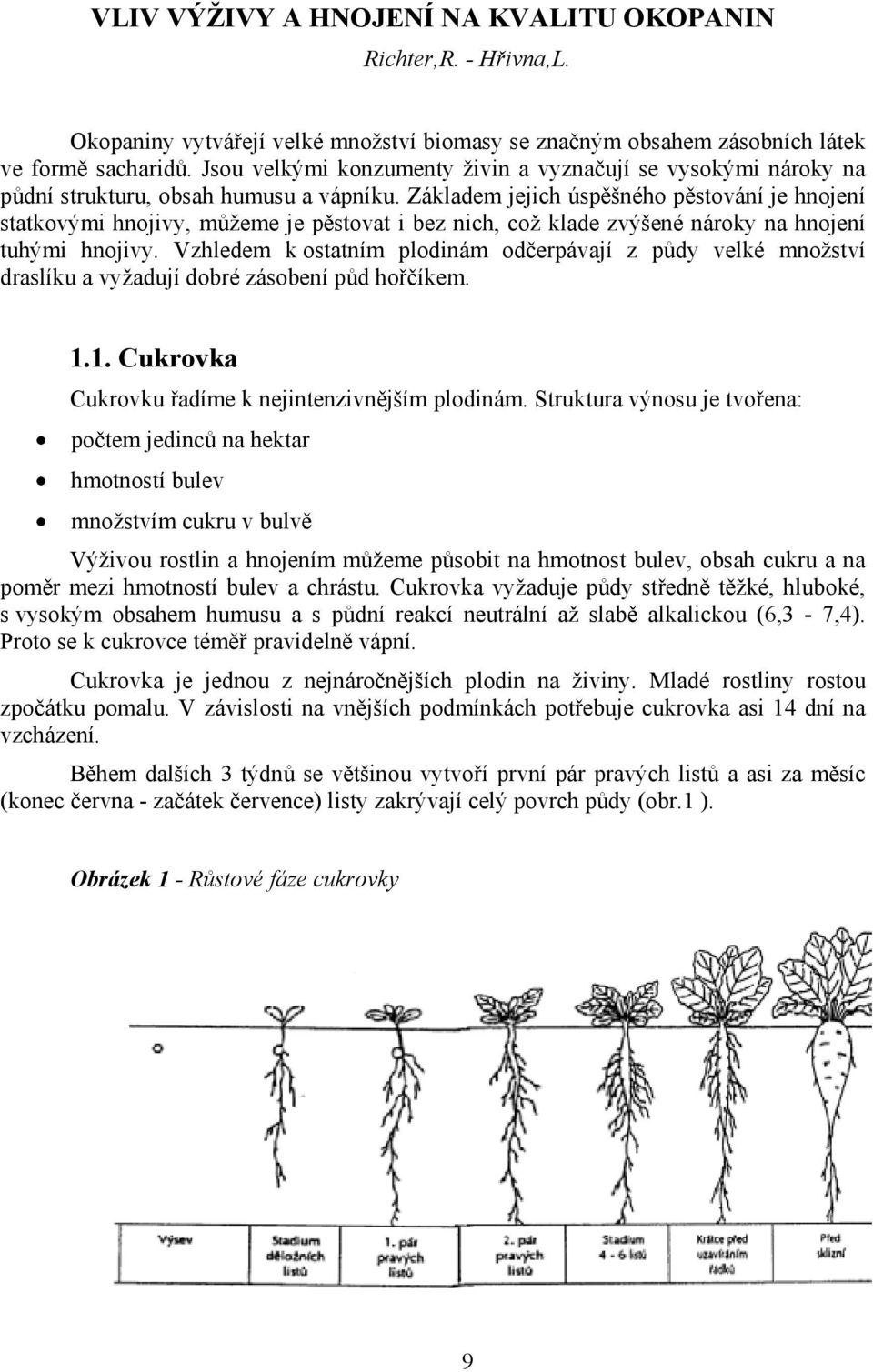 Základem jejich úsp ného p stování je hnojení statkovými hnojivy, m eme je p stovat i bez nich, co klade zvýené nároky na hnojení tuhými hnojivy.