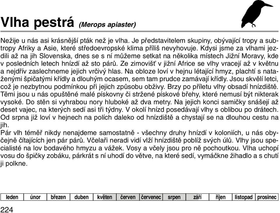 Ze zimovi È v jiïní Africe se vlhy vracejí aï v kvûtnu a nejdfiív zaslechneme jejich vrãiv hlas.