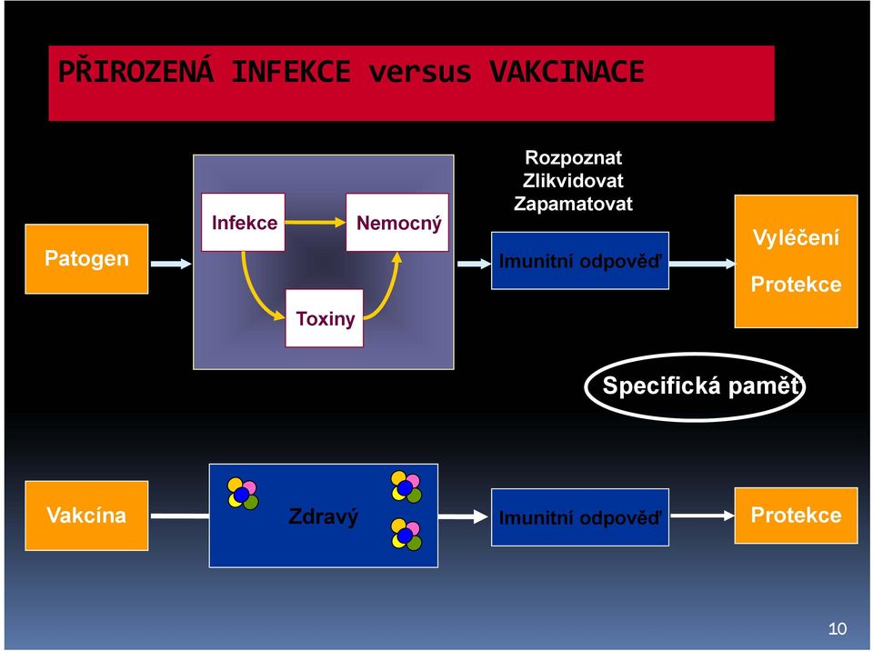 Zapamatovat Imunitní odpověď Vyléčení Protekce