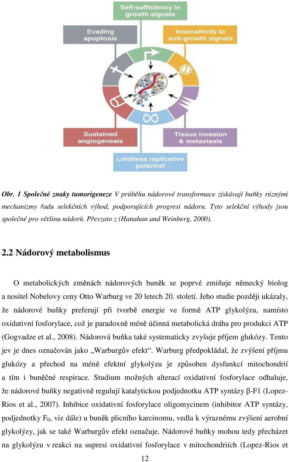 00). 2.2 Nádorový metabolismus O metabolických změnách nádorových buněk se poprvé zmiňuje německý biolog a nositel Nobelovy ceny Otto Warburg ve 20 letech 20. století.