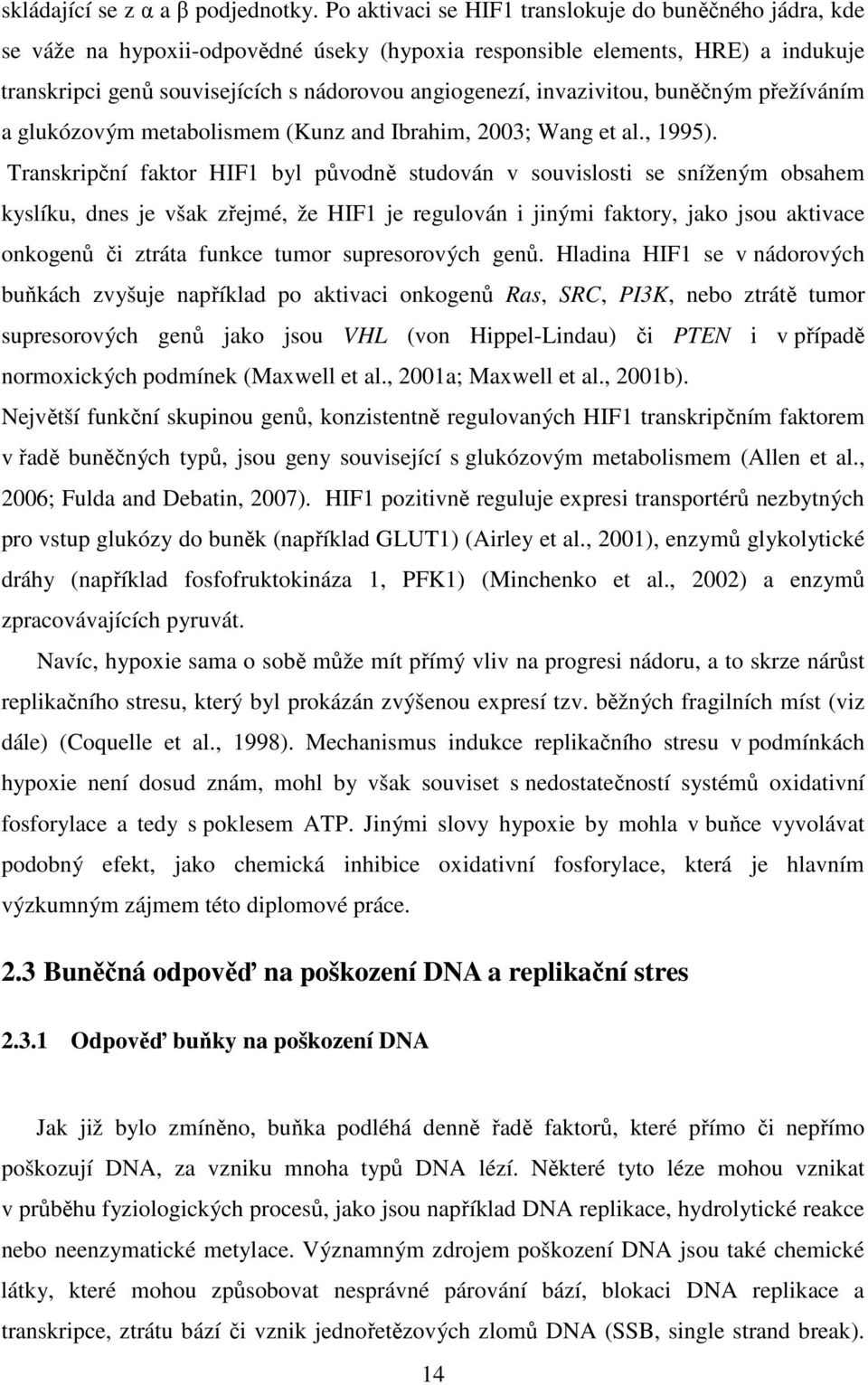 invazivitou, buněčným přežíváním a glukózovým metabolismem (Kunz and Ibrahim, 2003; Wang et al., 1995).