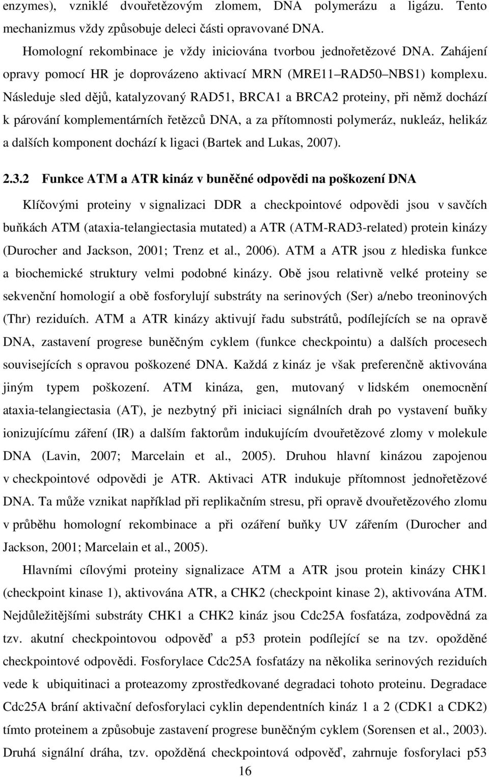 Následuje sled dějů, katalyzovaný RAD51, BRCA1 a BRCA2 proteiny, při němž dochází k párování komplementárních řetězců DNA, a za přítomnosti polymeráz, nukleáz, helikáz a dalších komponent dochází k