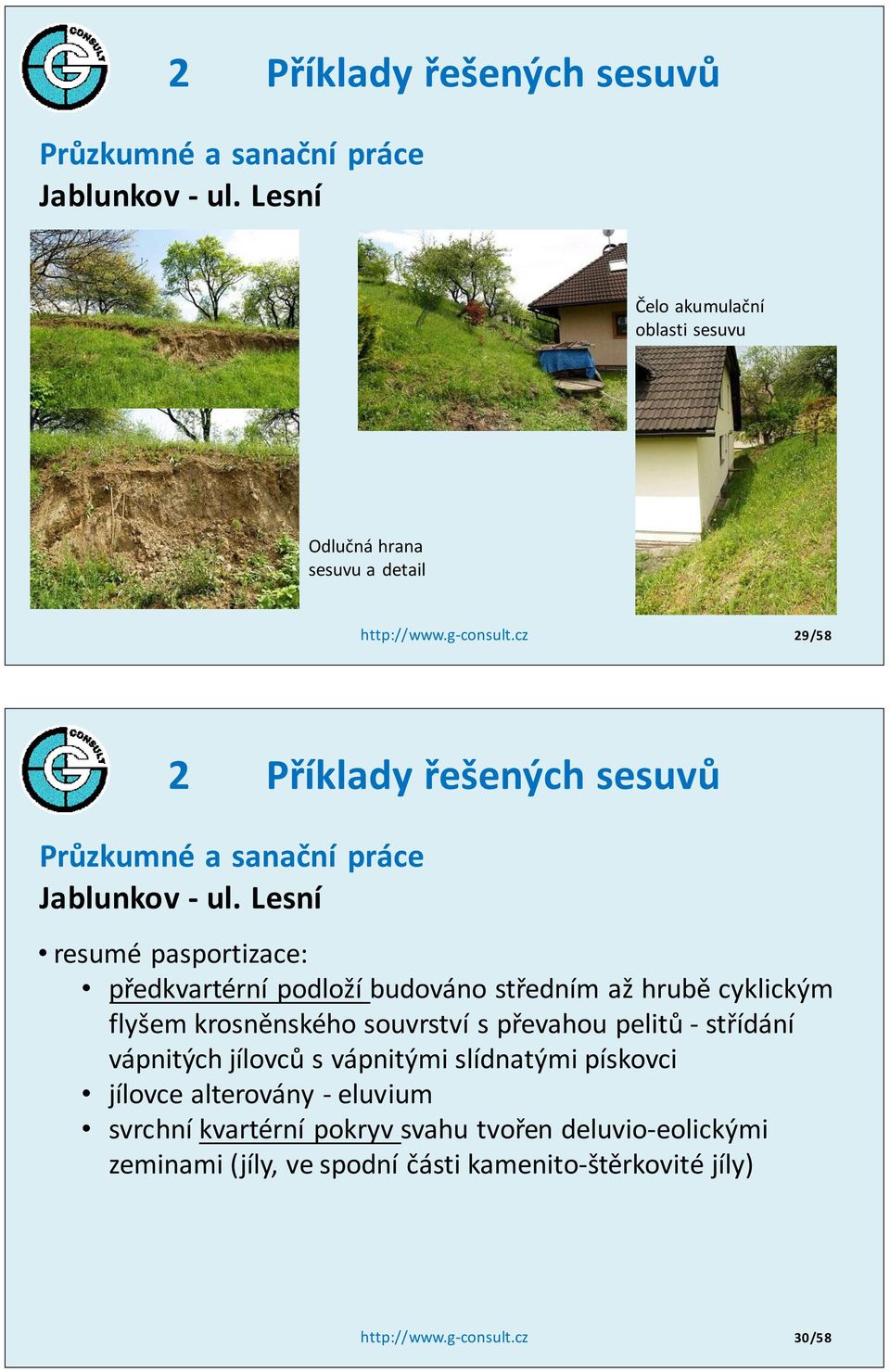 Lesní resumé pasportizace: předkvartérní podloží budováno středním až hrubě cyklickým flyšem krosněnského souvrství s