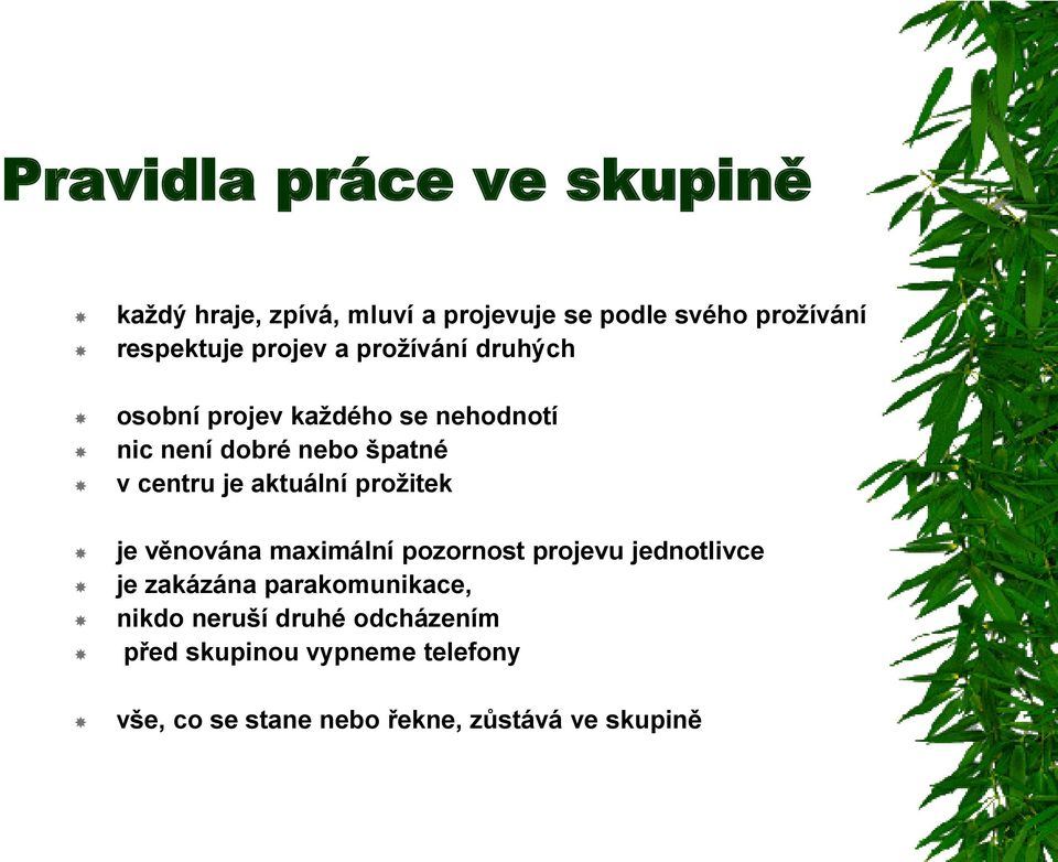 aktuální prožitek je věnována maximální pozornost projevu jednotlivce je zakázána parakomunikace,