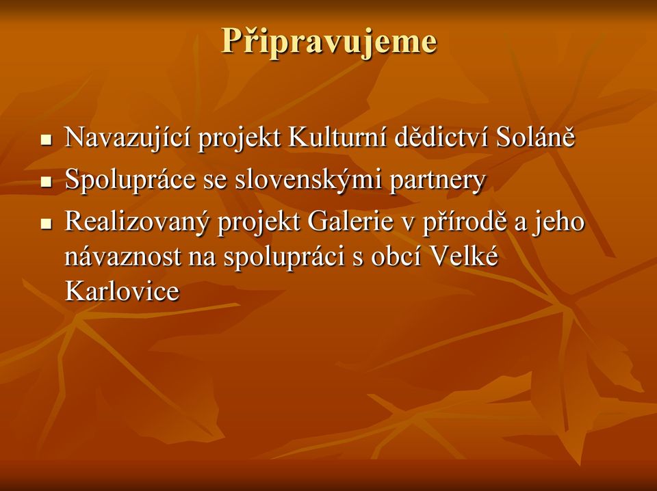 partnery Realizovaný projekt Galerie v