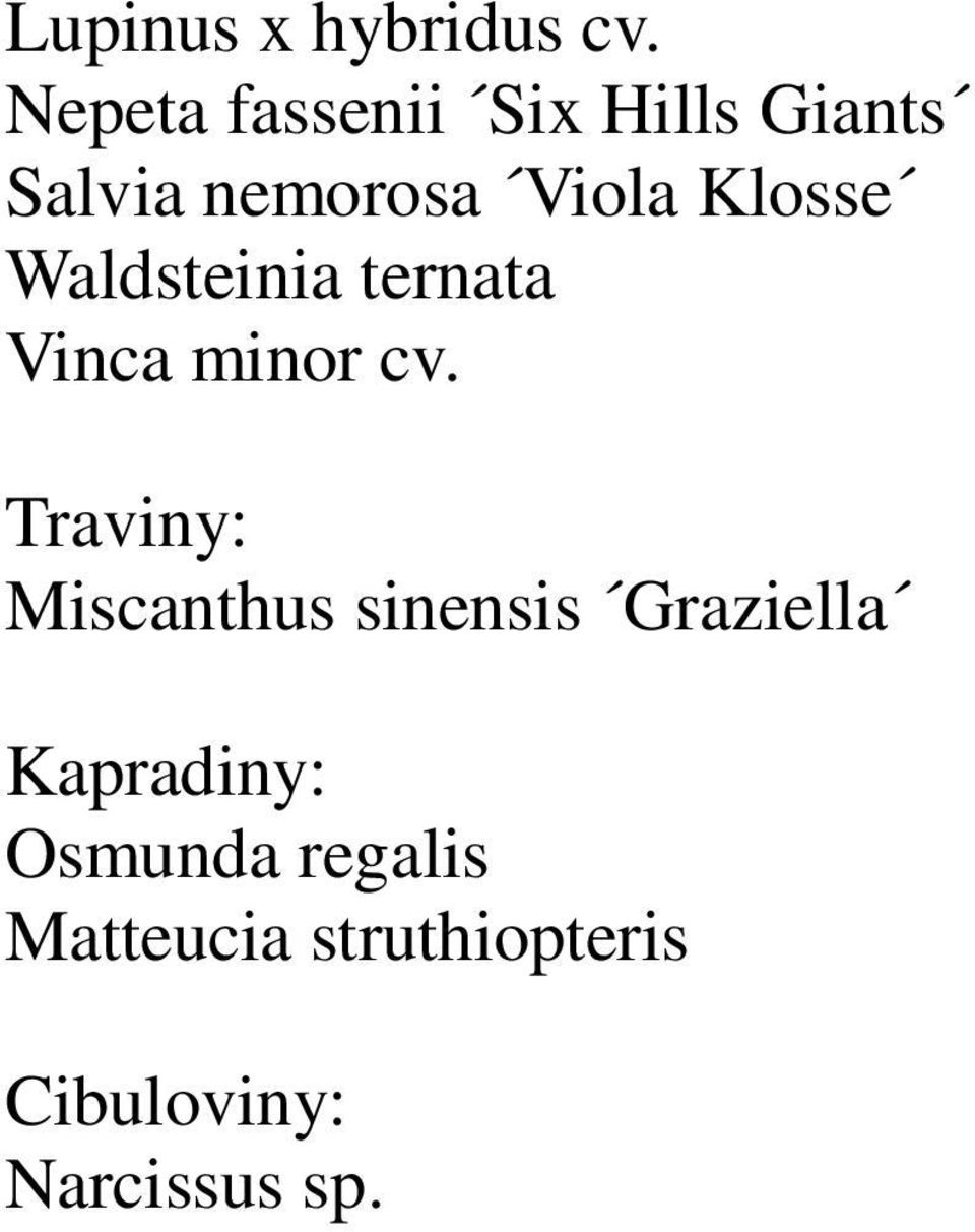 Klosse Waldsteinia ternata Vinca minor cv.
