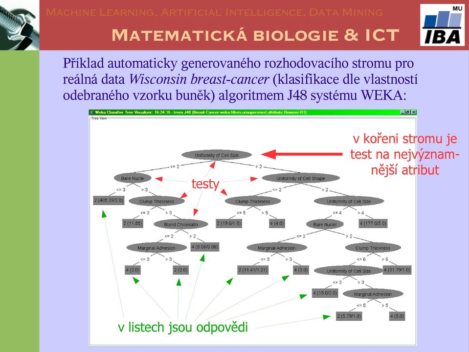 odebraného vzorku buněk) algoritmem J48 systému WEKA: testy v