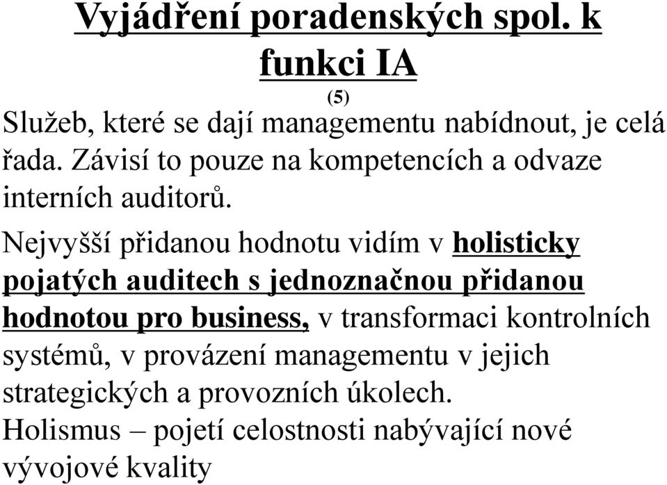 Nejvyšší přidanou hodnotu vidím v holisticky pojatých auditech s jednoznačnou přidanou hodnotou pro business,