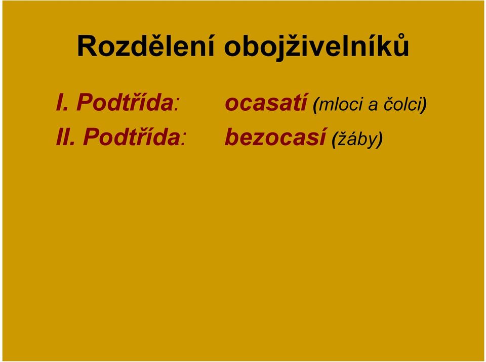 Podtřída: ocasatí