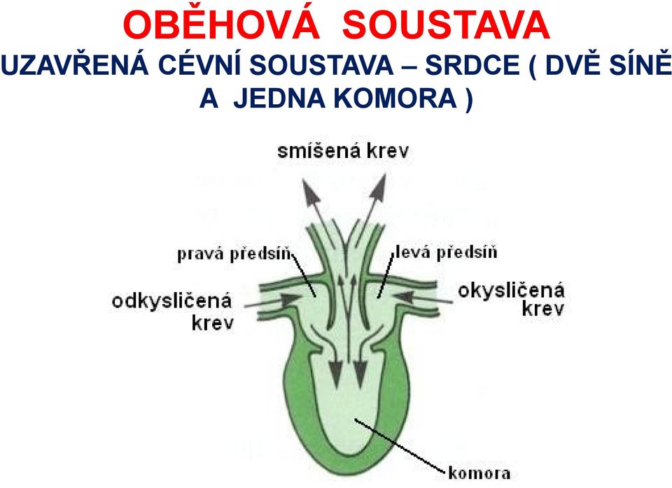 SOUSTAVA SRDCE (