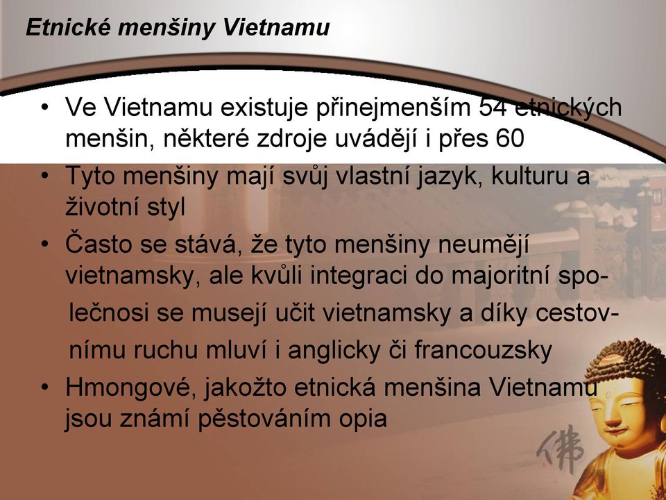 neumějí vietnamsky, ale kvůli integraci do majoritní spo- lečnosi se musejí učit vietnamsky a díky cestov-