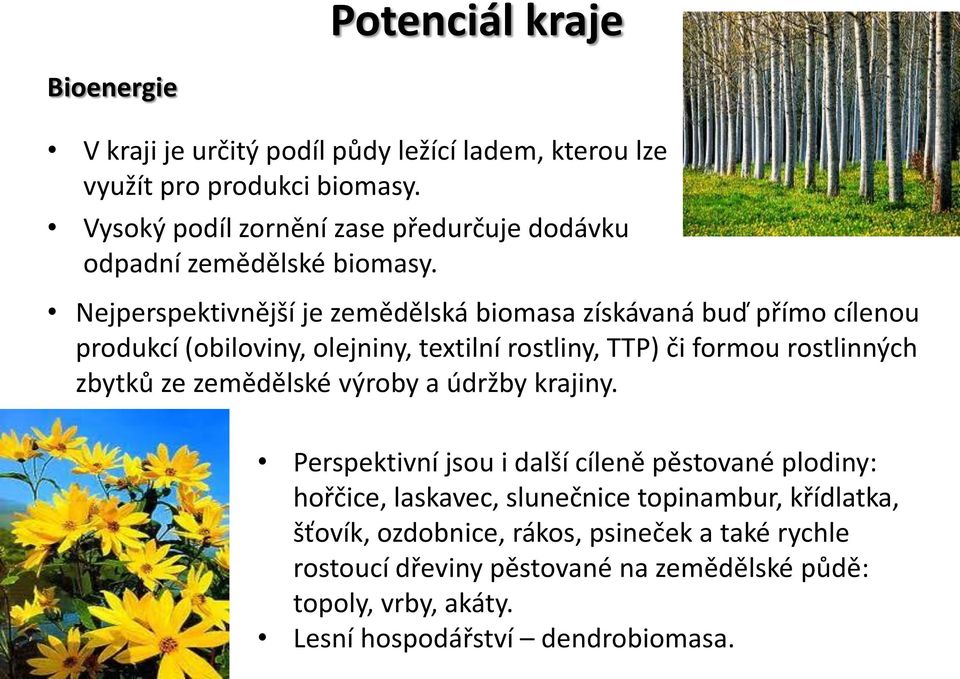 Nejperspektivnější je zemědělská biomasa získávaná buď přímo cílenou produkcí (obiloviny, olejniny, textilní rostliny, TTP) či formou rostlinných zbytků ze